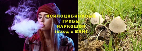 крисы Нея
